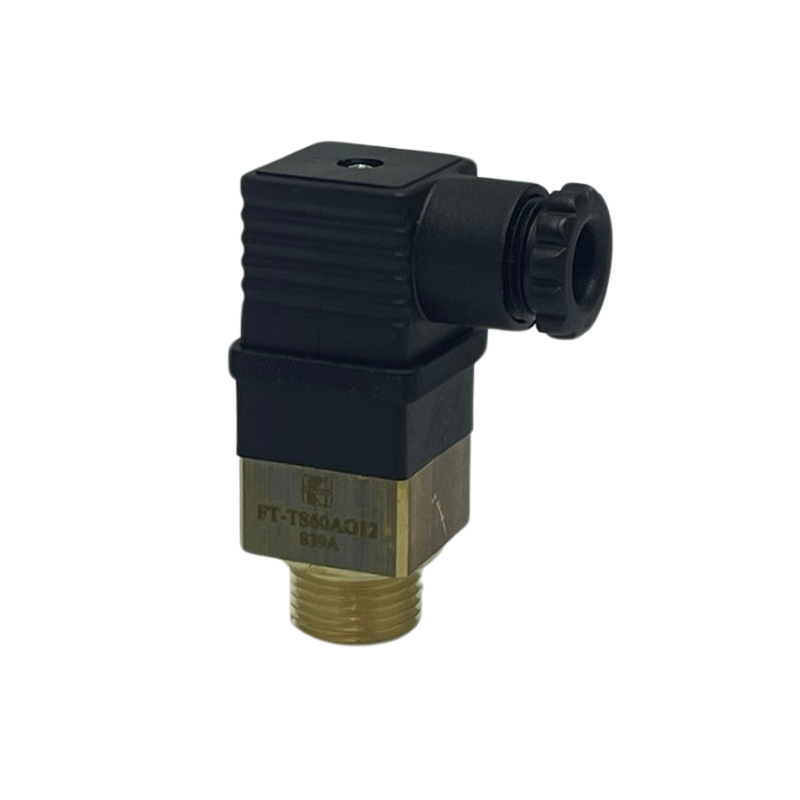 TERMOSTATO 60º 1/2"BSP - NO FT-TS60AG12