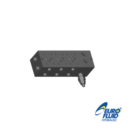 BLOQUE 7-NG6 EM213/7X3F CON LIMITADOR 100-350 BAR