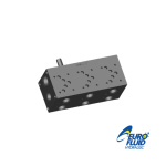 BLOQUE 5-NG10 EM235/5X2F CON LIMITADOR 10-210 BAR