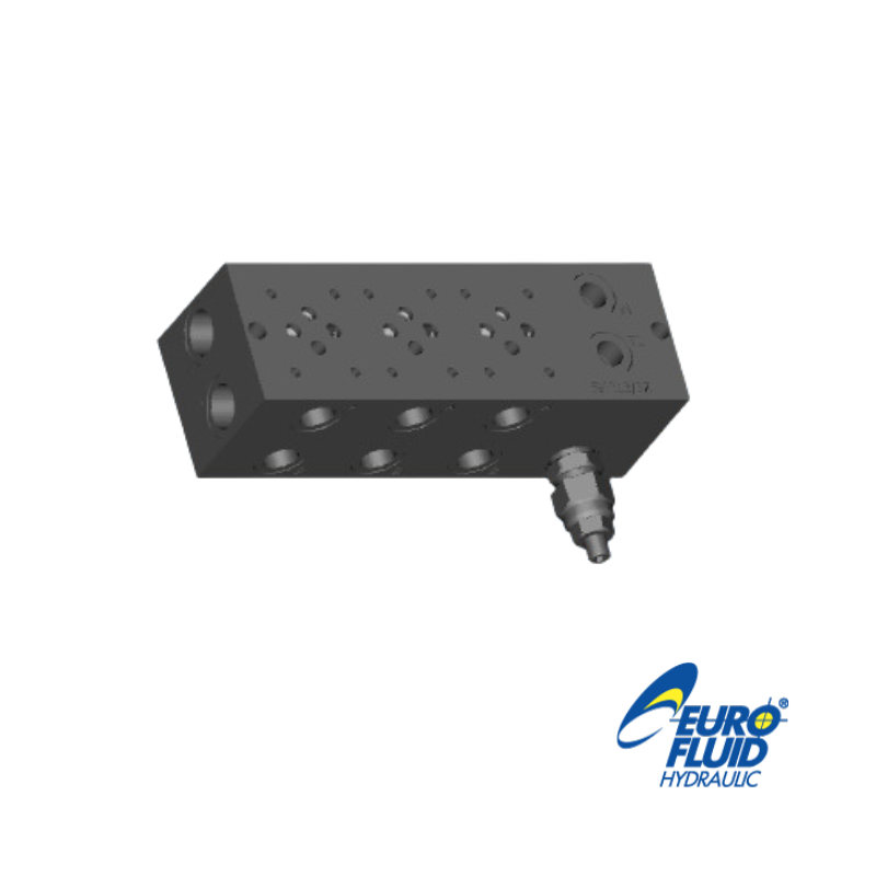 BLOQUE 5-NG6 EM213/5 X3F CON LIMITADOR 100-350 BAR