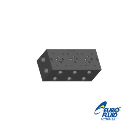 Monobloco NG6 Eurofluid EM213 sem limitadora | Hidro Orfão
