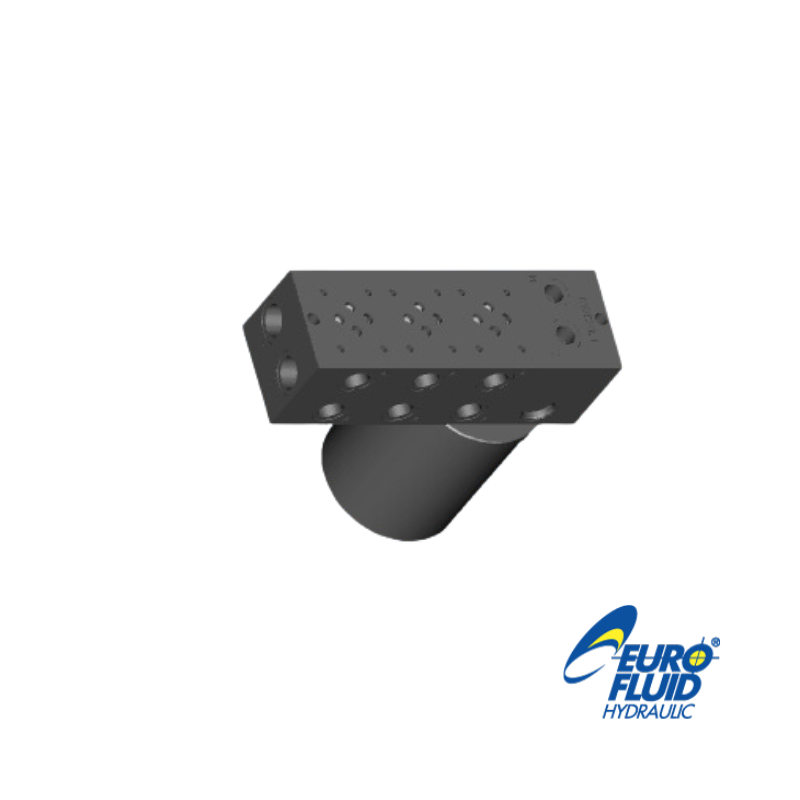 BLOC 1-NG6 EM203/1X3F/L AVEC LIMITATEUR 100-350 BAR + FILTRE
