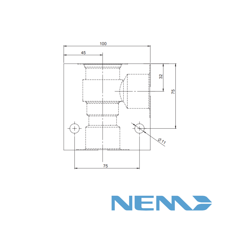 STANDARD BODY FOR LINE MOUNTING CAV 20-2 G1.1/4 STEEL