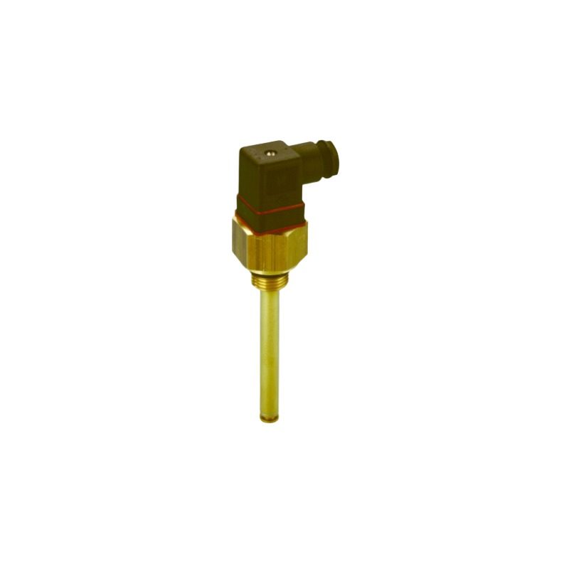 Livello Bühler TSM-2-MS-G1/2-M3/250-TM55NO/TM80NC