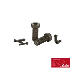 Linde-Innensechskantschraube M10x25 10.9 (HPR105-02)