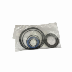 SEAL KIT OMS 151F0111  SERIE 1.2.3