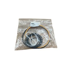 B&C-Dichtungssatz für Pumpen BQ (Typ VQ)