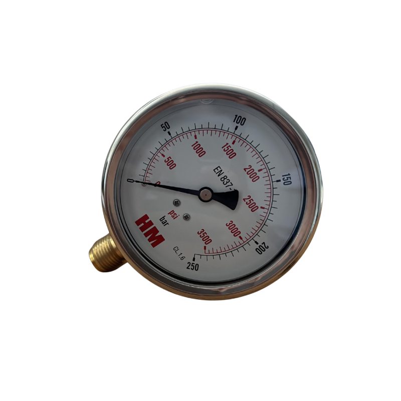 Manomètre HM DN100 raccord vertical | Hidro Orfão