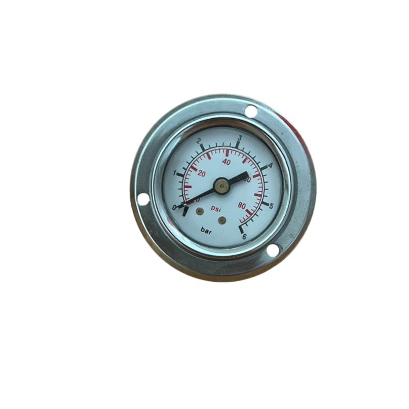 PRESSURE GAUGE 0-6BAR R.H. 1/8 D.40 C/ABA