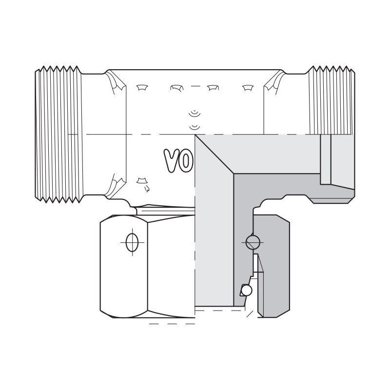 T macho-hembra-macho EVT