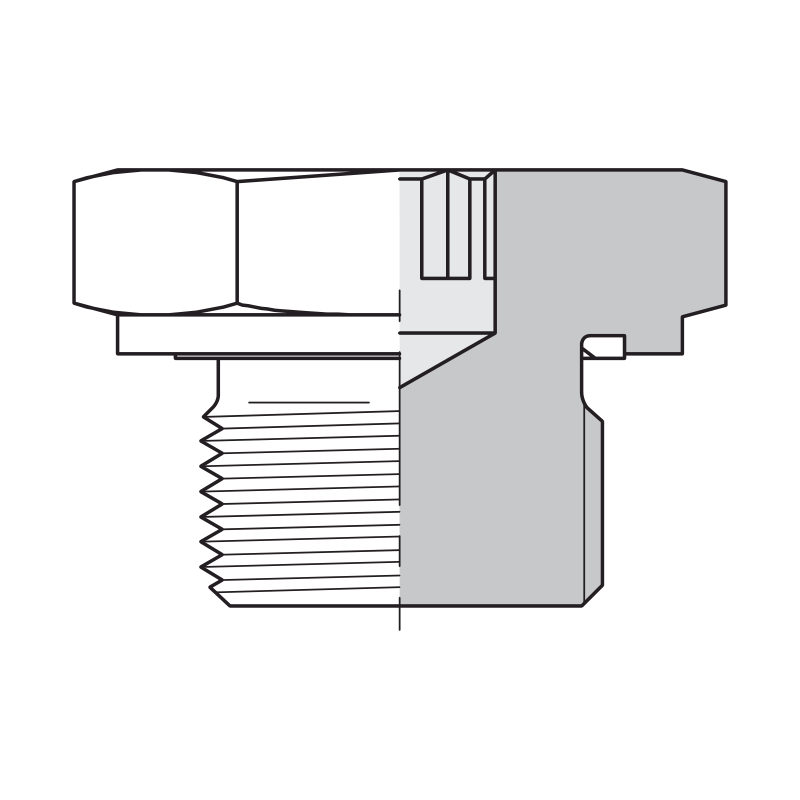 Plug ED BSP - Hydraulic Fittings for Leak-Proof System Assemblies