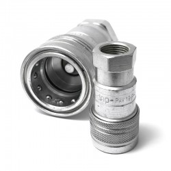 ISO-A FEMELLE (PAV1)
