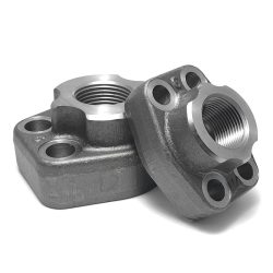 SAE 6000 flange with BSP thread