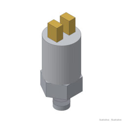 Pressure switch G1/8 up to 60 bar (ref. 41010)