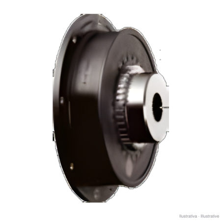 Elastomeri e flange KTR BOWEX-ELASTIC HE e MONOLASTIC