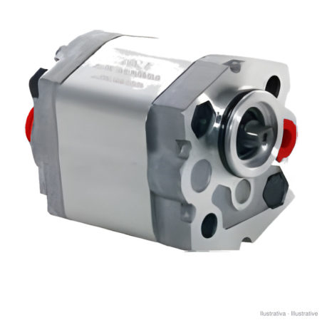 Bomba de engrenagens para mini centrais 10 C x 302