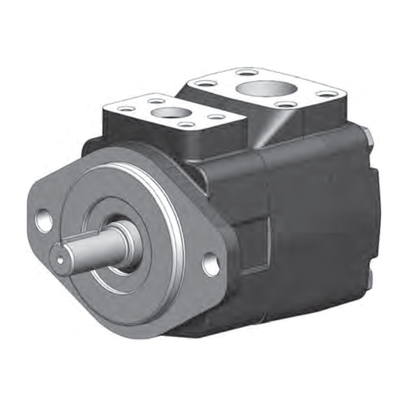 B&C BV02G21A01 vane pump