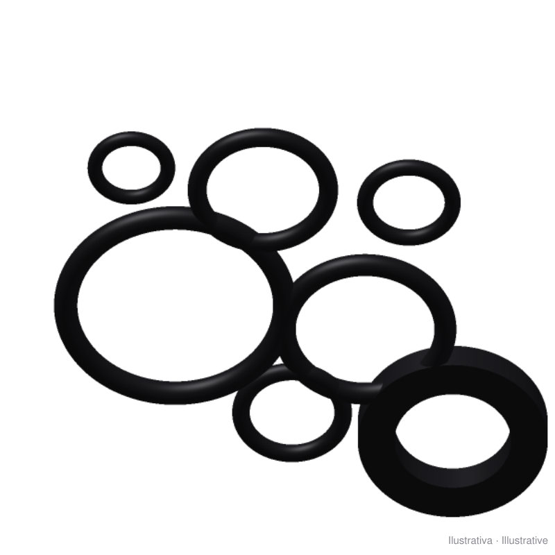 Viton seal kit for Hansa TMP 821 series pump