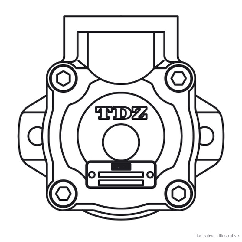 Bomba de palhetas TDZ BHP2/15D