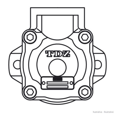 Flügelzellenpumpe TDZ BHP2/15D