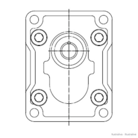 Motore a ingranaggi Ronzio MW2-20-RE 02MWE020E000, drenaggio 1/4"