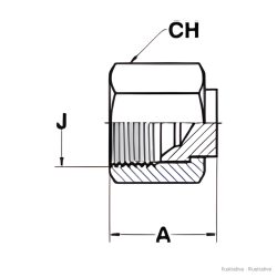 Disegno tecnico (illustrativo)