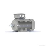 Moteur électrique triphasé MEB