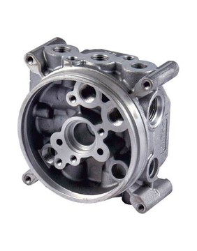 Central manifold